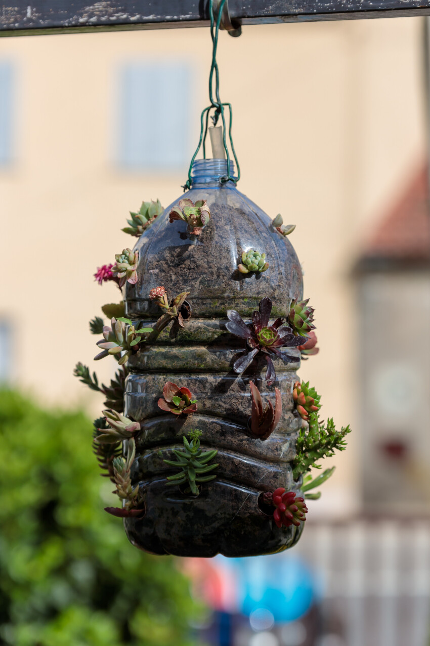 Creative Garden: Blooming Flowers in a Recycled Hanging Water Canister