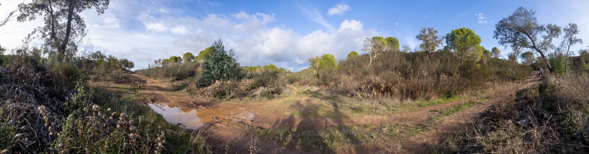 Parque Natural do Vale do Guadiana Landscape in Portugal