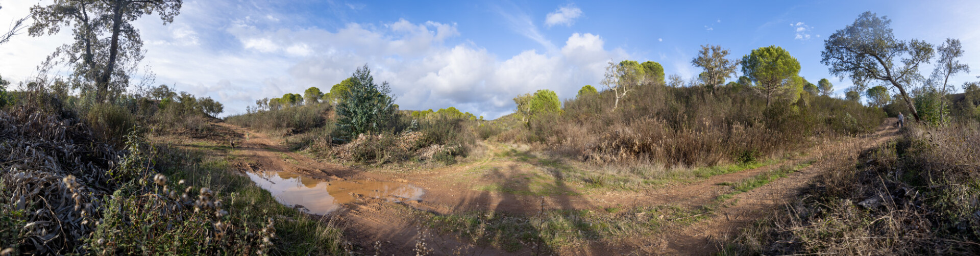 Parque Natural do Vale do Guadiana Landscape in Portugal