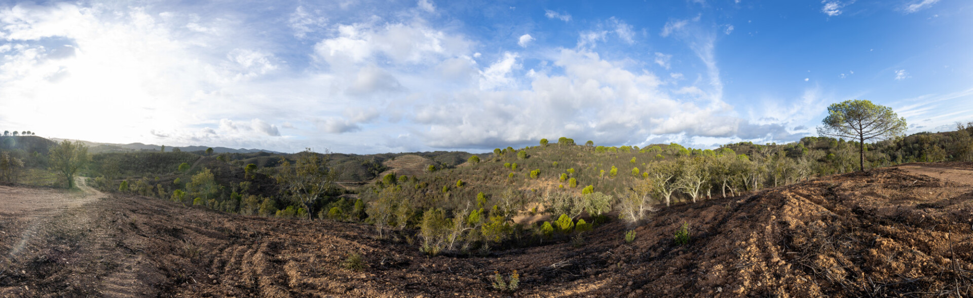 Untouched nature landscape in Portugal