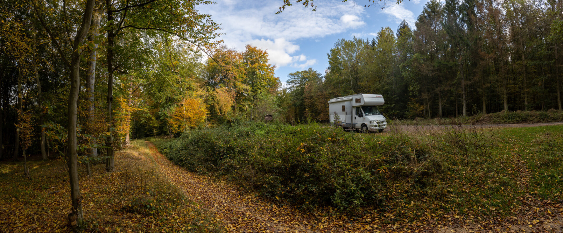 Caravan in the forest