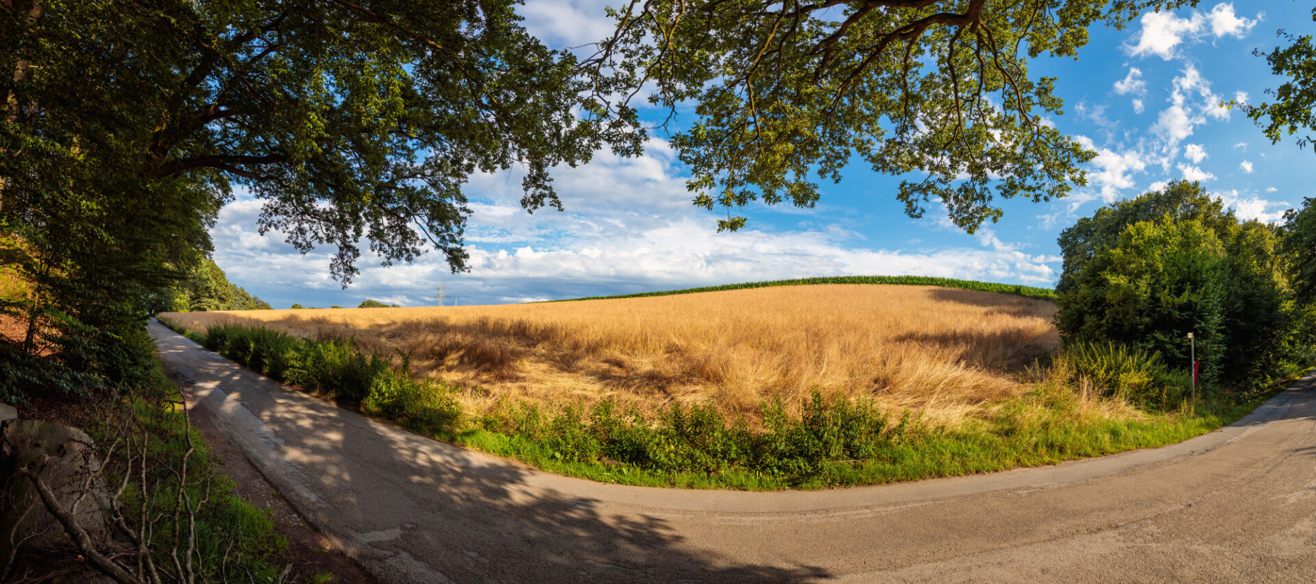 Idyllic German Country Road