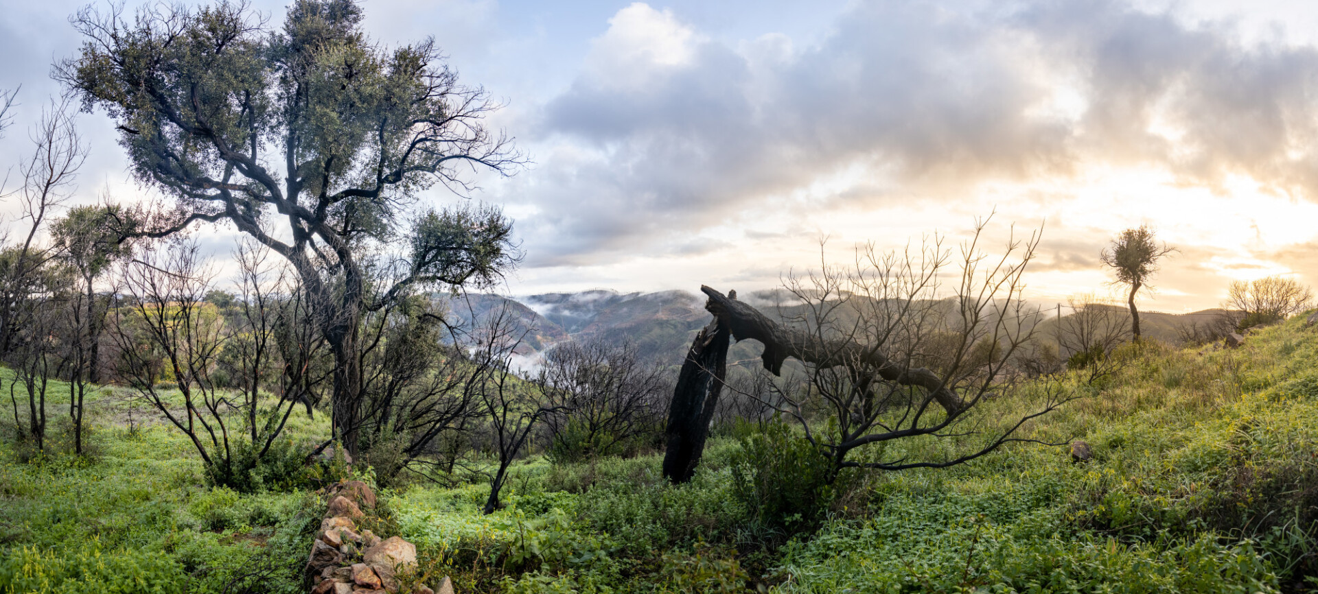 Wonderful landscape of Portugal