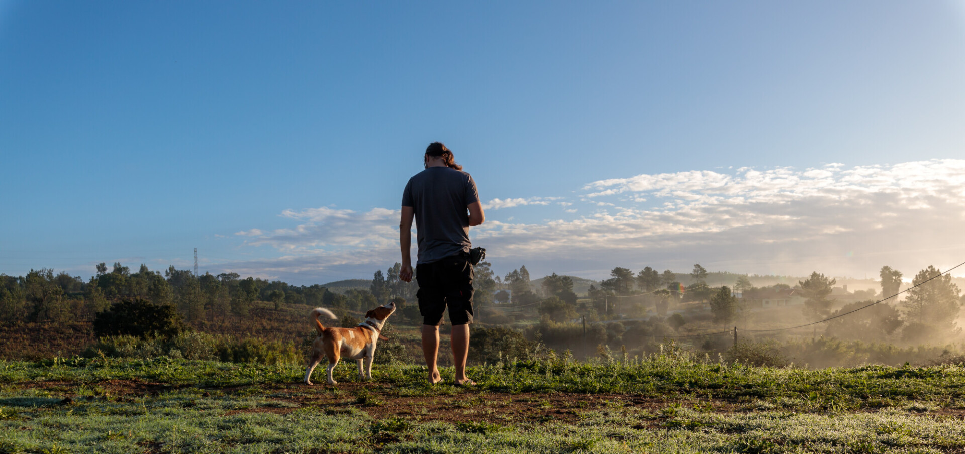 Man walking with his dog in the foggy morning