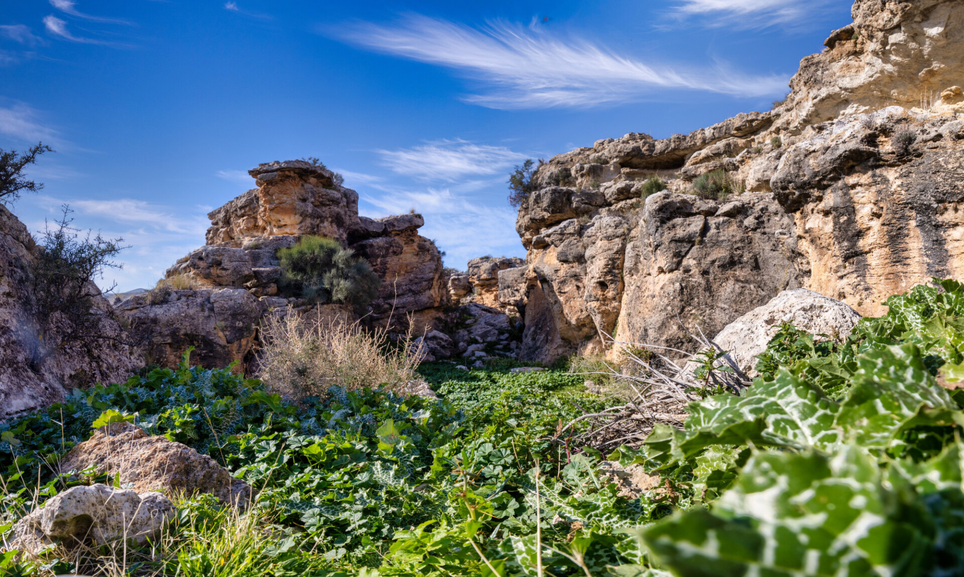 Cascada Verde Mountain Landscape