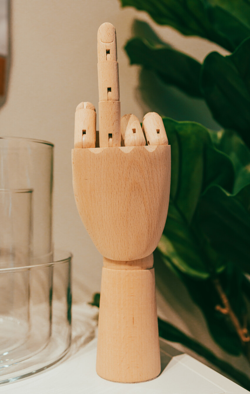 Wooden model hand shows middle finger