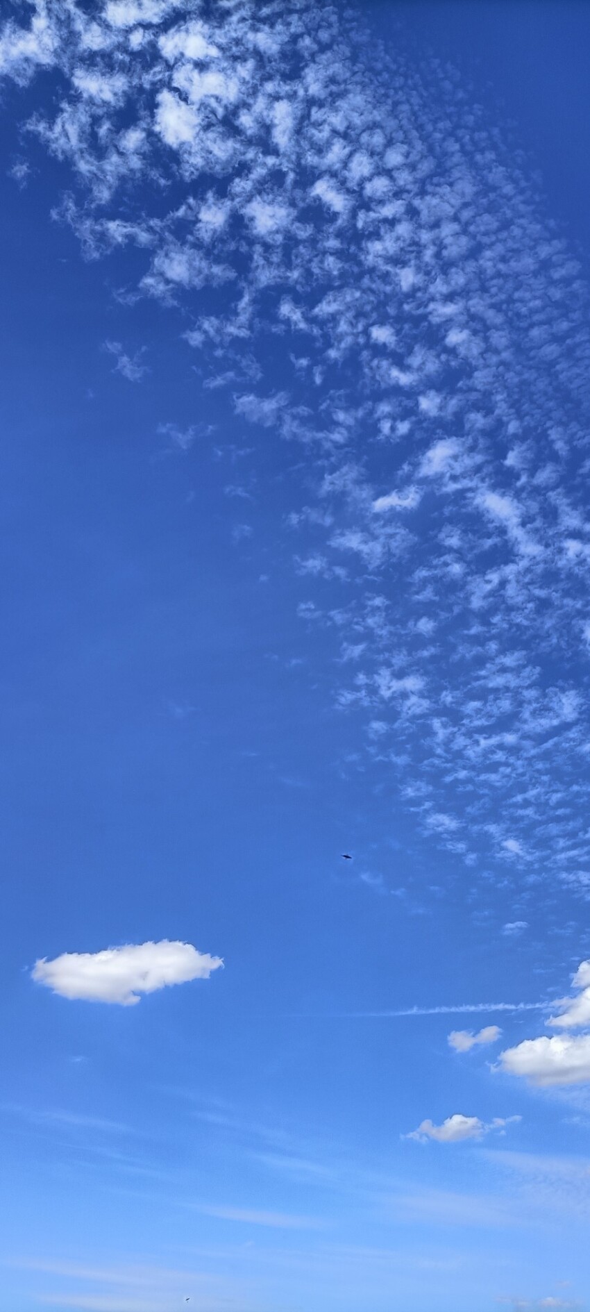 Free Vertical blue Sky for Skyreplacement