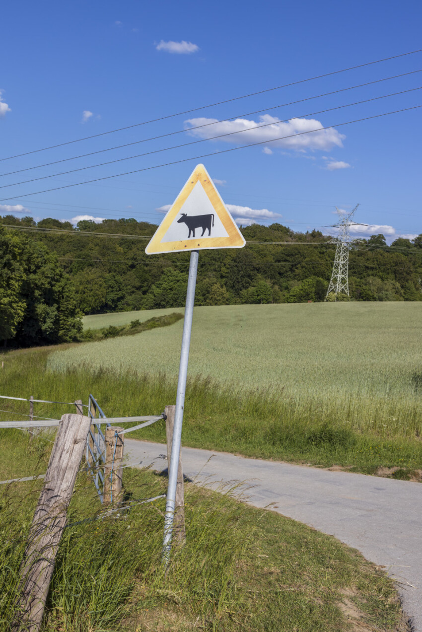 Cow Sign in a rural landscape by germany