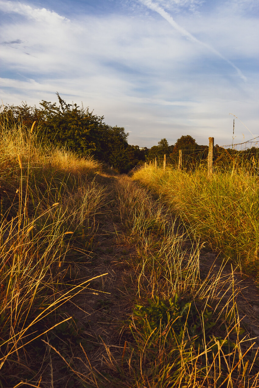 track across the fields