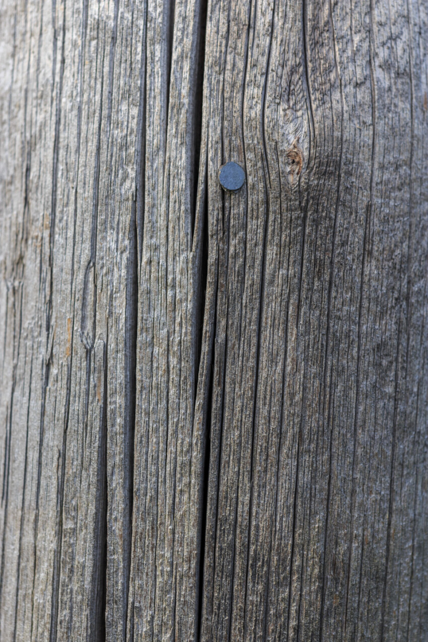 old gray wood texture