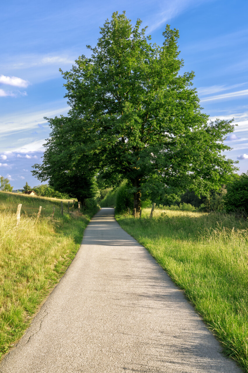 Small country road along fields and forests in Langenberg, Velbert