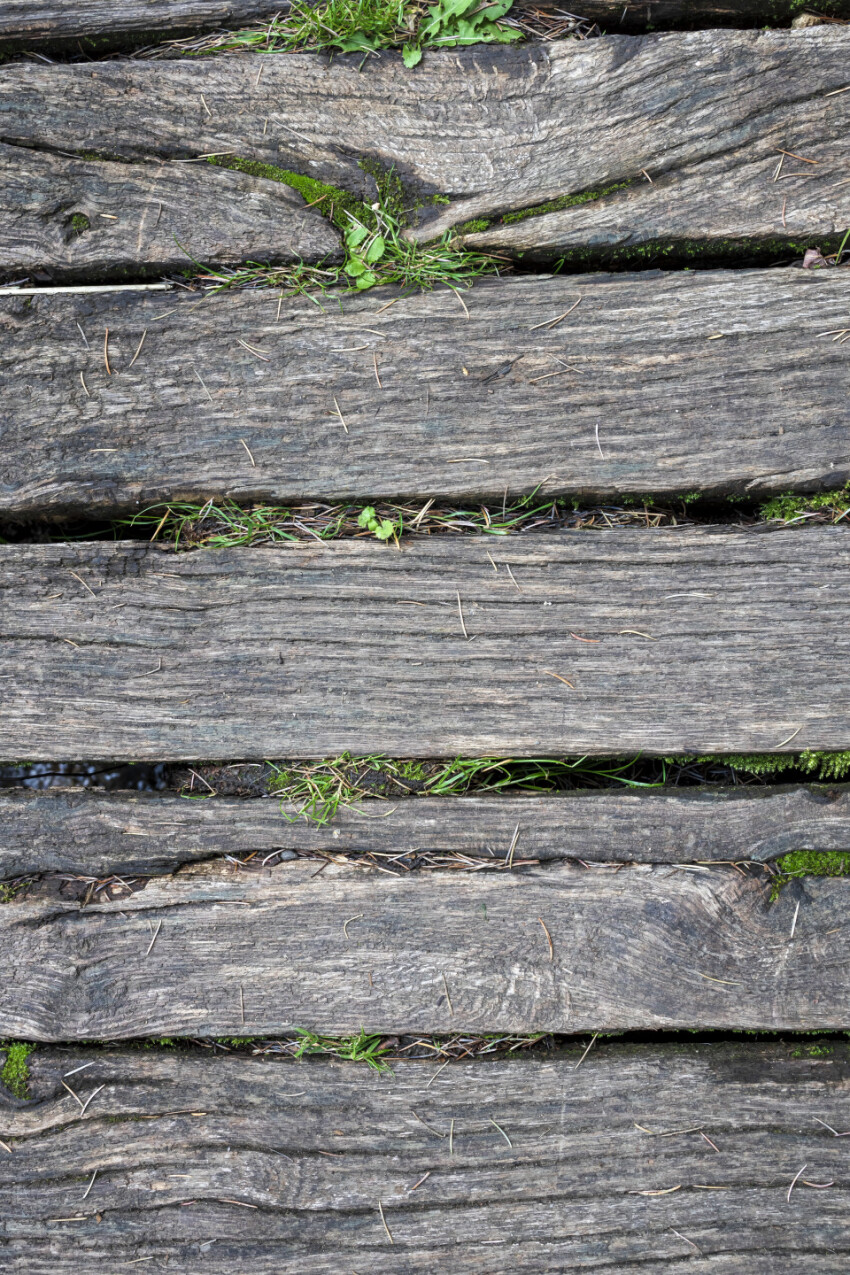 Wooden planks texture