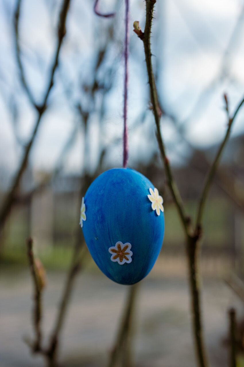 Blue decorated Easter egg hangs in the garden