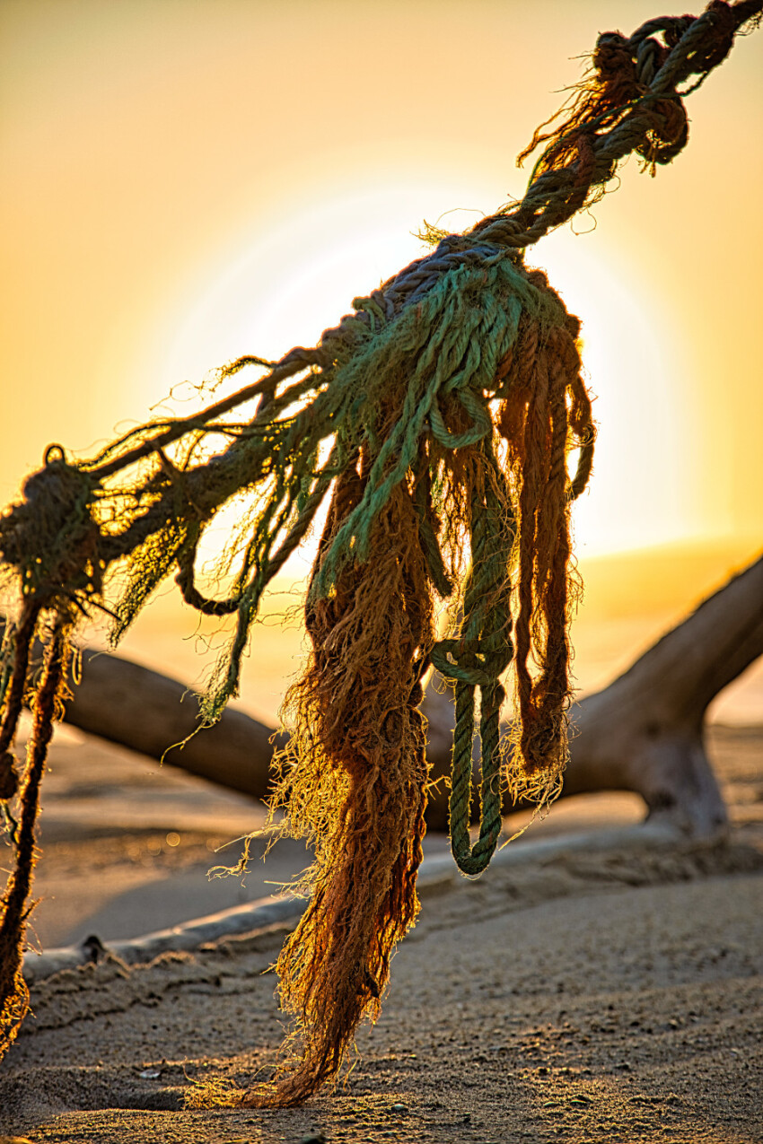 Fishing net flotsam