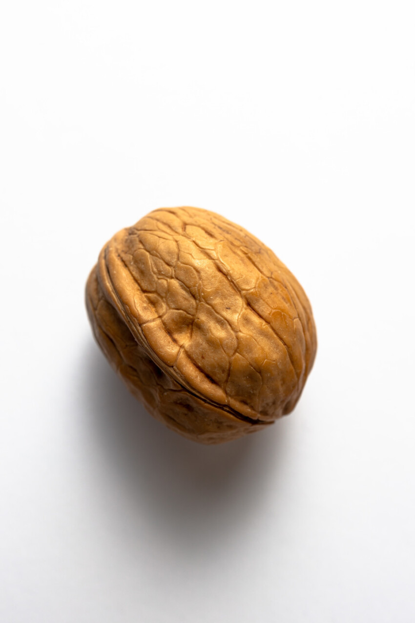 One walnut on white background