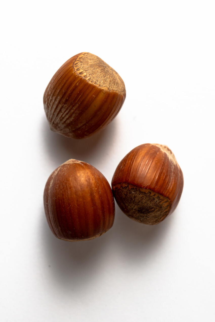 Three Hazelnuts white background