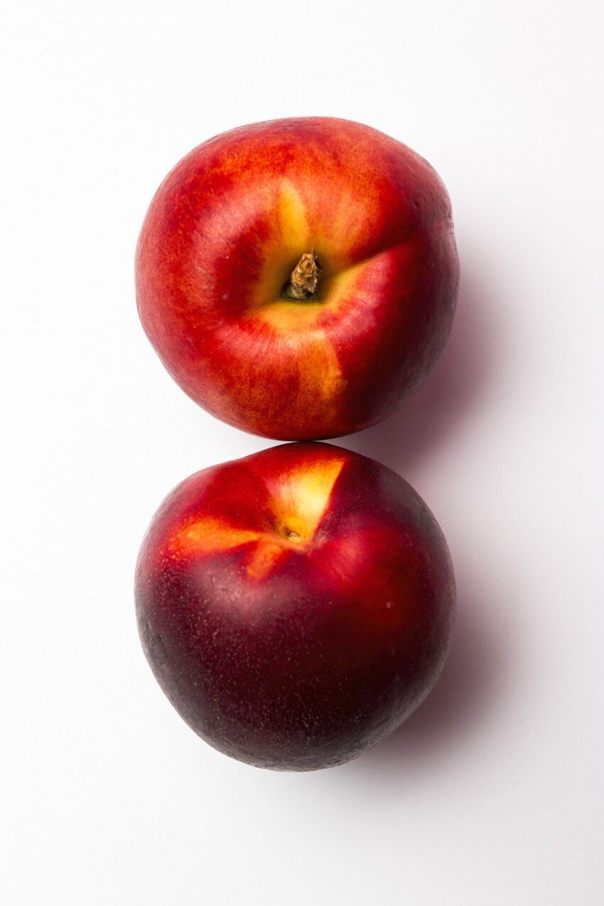 two nectarines white background