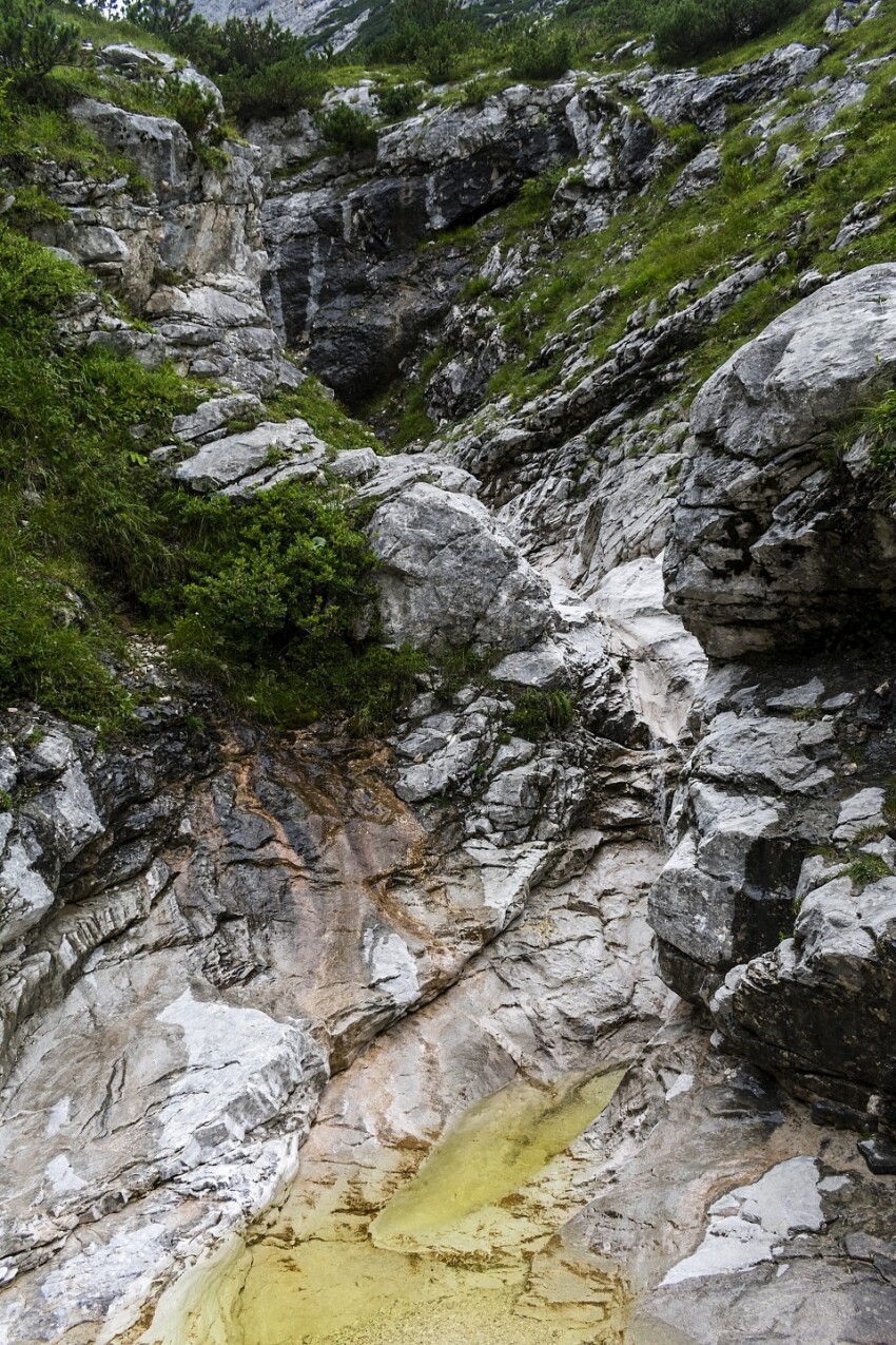 glacier trail