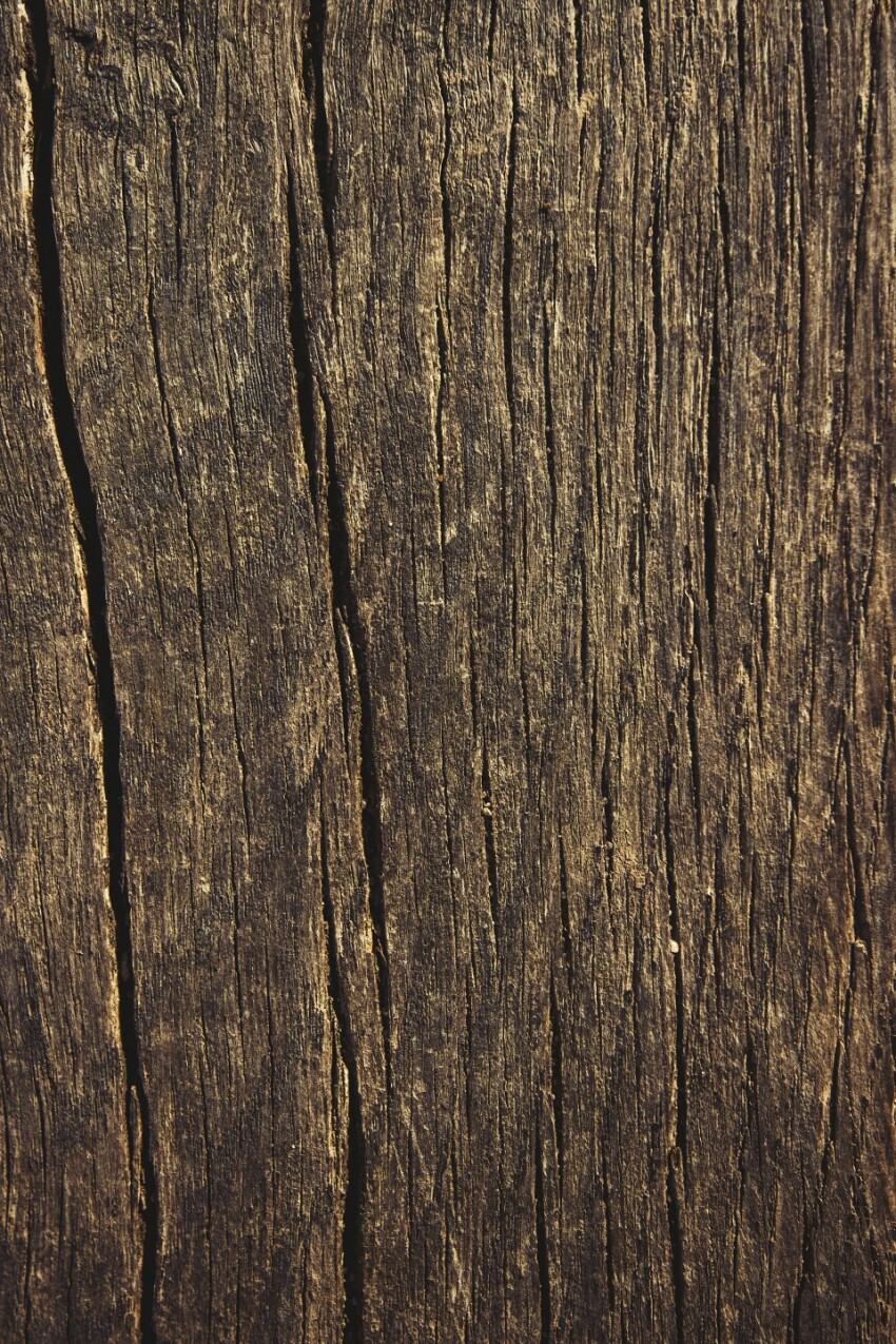 old wood grain texture
