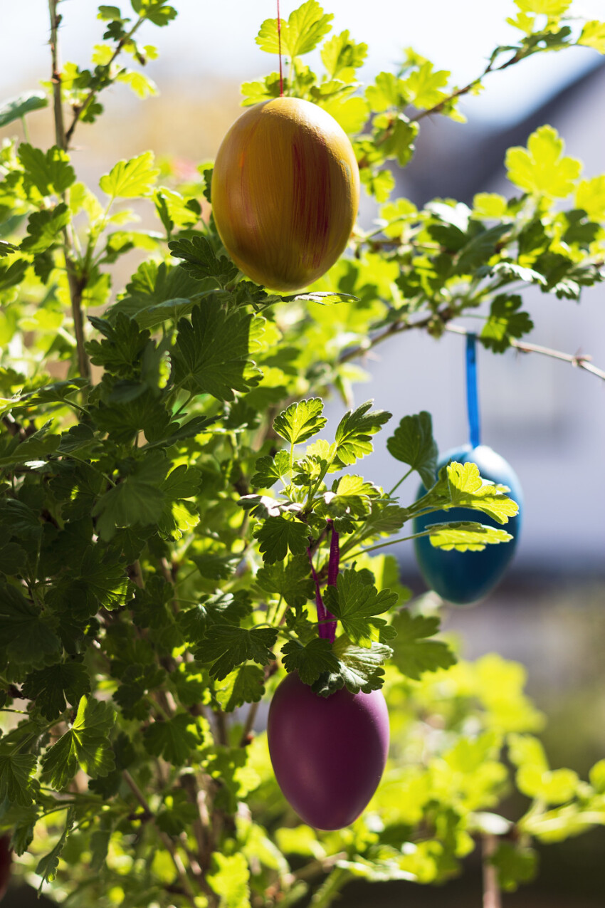 colorful easter eggs on a tree