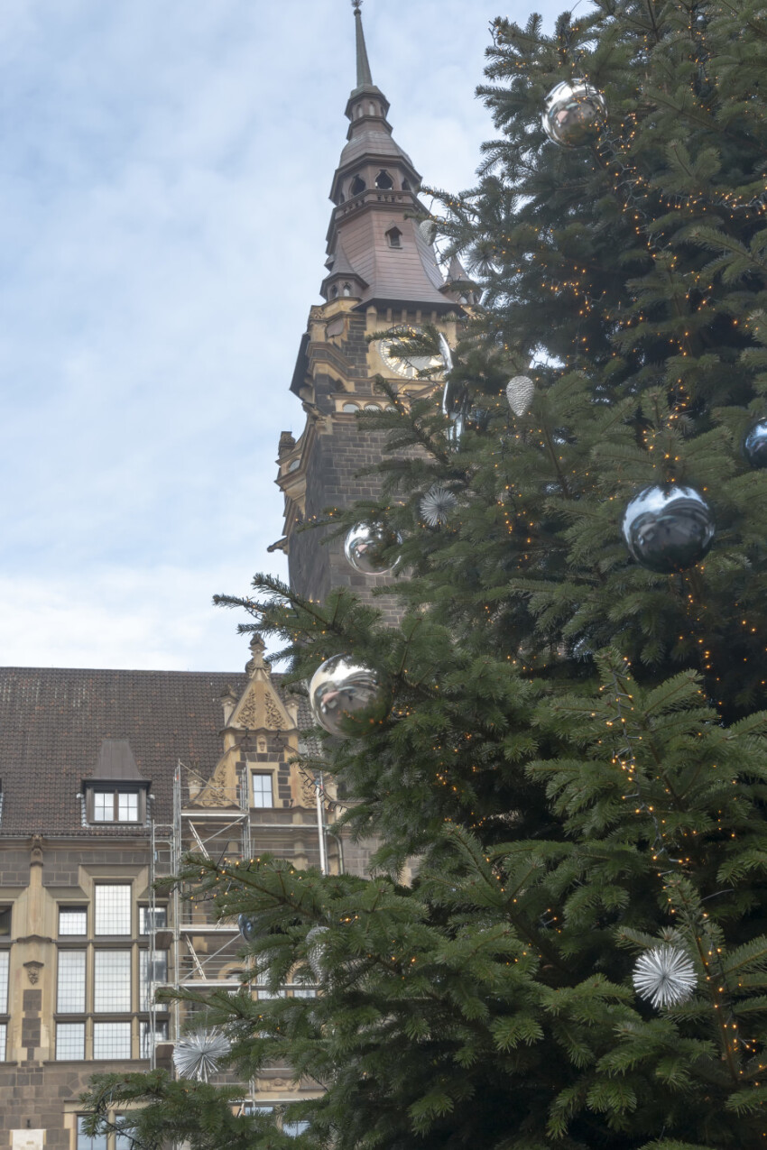 Christmas tree in Wuppertal Elberfeld in front of the town hall