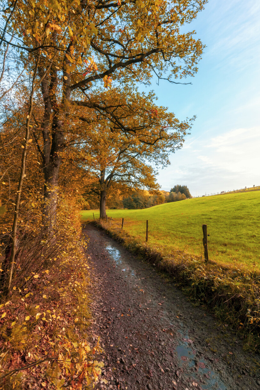 Dirt road in germany by marscheider bachtal in nrw