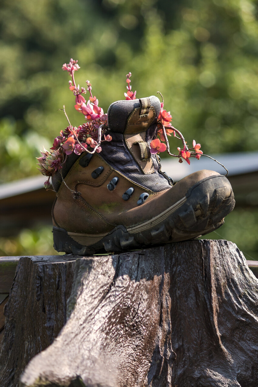 old shoe with flowers