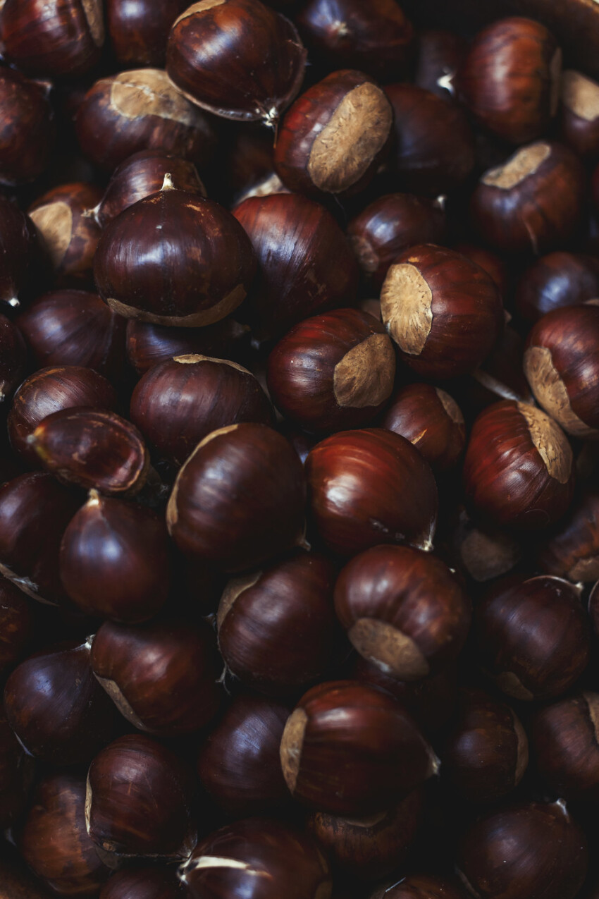 many sweet chestnuts texture background