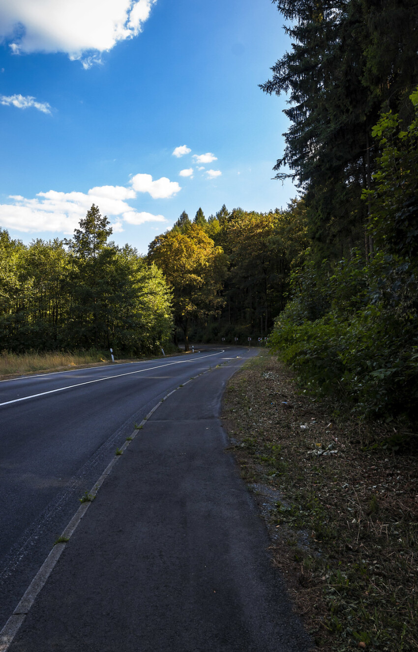 country road in nature