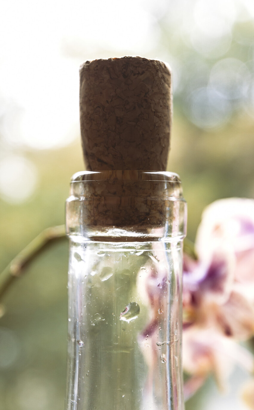 wine bottle with cork