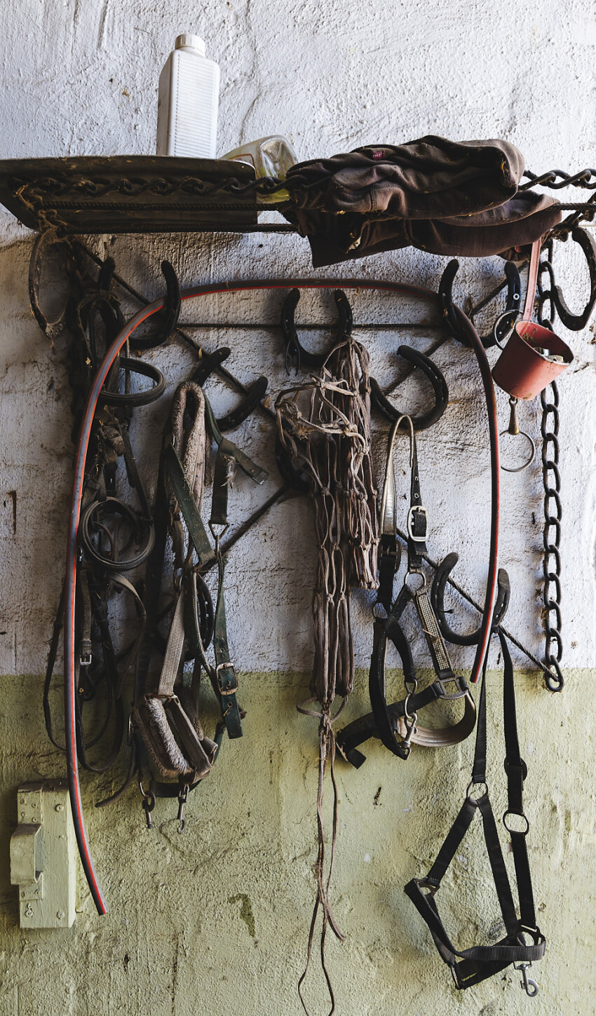 riding equipment on a wall