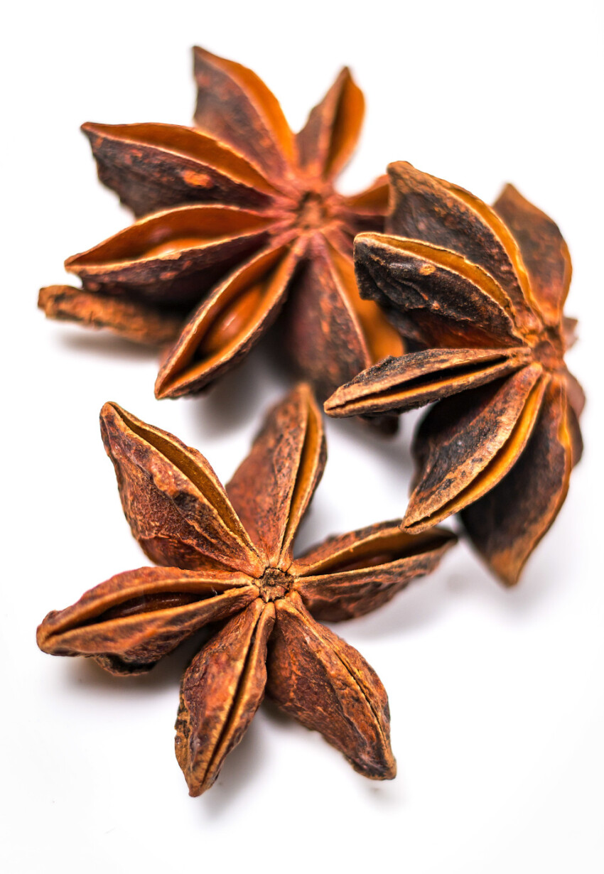 star anise on a white background