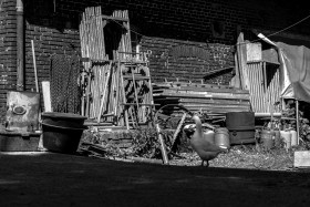 Stock Image: A white goose in the back yard of a farm - Black and White