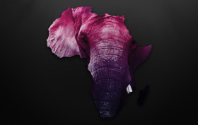 Stock Image: africa elephant country
