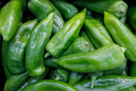 Stock Image: Anaheim peppers