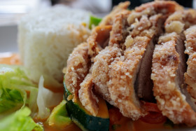 Stock Image: Asian Crispy Duck Lunch