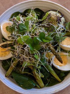 Stock Image: asparagus egg salad