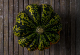 Stock Image: Autumn background with pumpkin