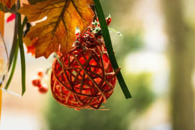 Stock Image: autumn decoration