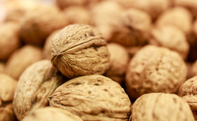 Stock Image: autumn walnuts background