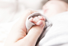 Stock Image: baby hands