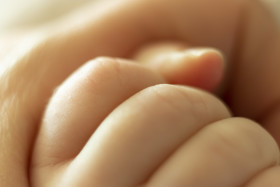 Stock Image: baby holding hand