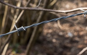 Stock Image: barbed wire