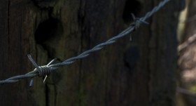 Stock Image: barbed wire