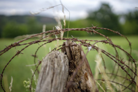 Stock Image: Barbed Wire Fence In A Grassy Field