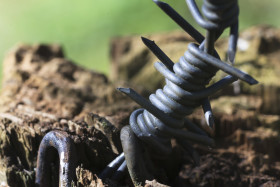 Stock Image: Barbed wire on green background