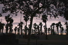 Stock Image: barcelona promenade