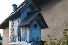 Stock Image: beautiful bird house