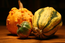 Stock Image: Beautiful Pumpkins