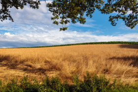Stock Image: Beautiful rural landscape in europe